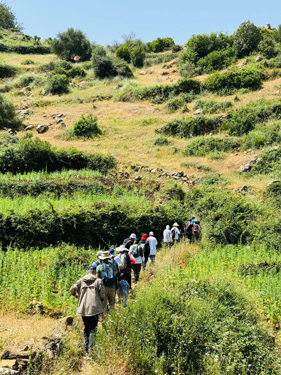 whatsapp image 2025 01 10 at 01.25.59